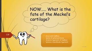 4/14/2018
118
NOW….. What is the
fate of the Meckel’s
cartilage?
• Incus and malleus
• Spine of sphenoid bone
• Anterior ligament of malleus
• Spheno-mandibular ligament
 