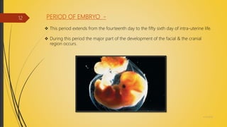 PERIOD OF EMBRYO -
 This period extends from the fourteenth day to the fifty sixth day of intra-uterine life.
 During this period the major part of the development of the facial & the cranial
region occurs.
4/14/2018
12
 