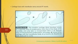 4/14/2018
121
• Cartilage fuses with mandibular ramus around 4th month.
(Contemporary orthodontics Williams R. proffit fifth edition)
 