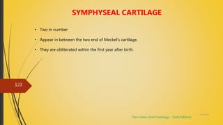 4/14/2018
123
• Two in number
• Appear in between the two end of Meckel’s cartilage.
• They are obliterated within the first year after birth.
SYMPHYSEAL CARTILAGE
(Ten Cate’s Oral Histology – Sixth Edition)
 