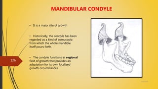 4/14/2018
126
MANDIBULAR CONDYLE
• It is a major site of growth
• Historically, the condyle has been
regarded as a kind of cornucopia
from which the whole mandible
itself pours forth.
• The condyle functions as regional
field of growth that provides an
adaptation for its own localized
growth circumstances
 