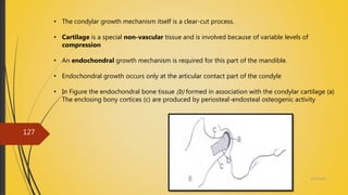 4/14/2018
127
• The condylar growth mechanism itself is a clear-cut process.
• Cartilage is a special non-vascular tissue and is involved because of variable levels of
compression
• An endochondral growth mechanism is required for this part of the mandible.
• Endochondral growth occurs only at the articular contact part of the condyle
• In Figure the endochondral bone tissue (b) formed in association with the condylar cartilage (a)
The enclosing bony cortices (c) are produced by periosteal-endosteal osteogenic activity
 