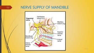 NERVE SUPPLY OF MANDIBLE
4/14/2018
132
 