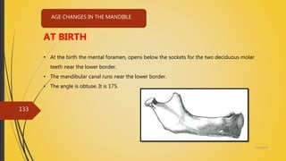 4/14/2018
133
AGE CHANGES IN THE MANDIBLE
AT BIRTH
• At the birth the mental foramen, opens below the sockets for the two deciduous molar
teeth near the lower border.
• The mandibular canal runs near the lower border.
• The angle is obtuse. It is 175.
 