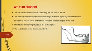 4/14/2018
134
AT CHILDHOOD
• The two halves of the mandible fuse during the first year of the life.
• The body becomes elongated in its whole length, but more especially behind the mental
foramen, to provide space for the three additional teeth developed in this part.
• Mandibular foramen slightly above the occlusal plane
• The angle becomes less obtuse around 140.
 