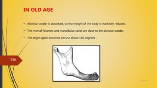 4/14/2018
136
IN OLD AGE
• Alveolar border is absorbed, so that height of the body is markedly reduced.
• The mental foramen and mandibular canal are close to the alveolar border.
• The angle again becomes obtuse about 140 degrees .
 