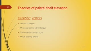 Theories of palatal shelf elevation
EXTRINSIC FORCES
 Descent of tongue
 Myoneural activity with in tongue
 Shelves pushed up by tongue
 Mouth opening reflexes
4/14/2018
42
 