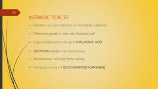 INTRINSIC FORCES
Hydration and polymerisation of intercellular substance
Differential growth on one side of palatal shelf
Turgor produced by build up of HYALURONIC ACID
SEROTONIN release from neural tissue.
Mesenchymal cell biosynthetic activity
Changing amounts of GLYCOSAMINOGLYCANS(GAG)
4/14/2018
43
 