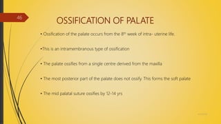 OSSIFICATION OF PALATE
• Ossification of the palate occurs from the 8th week of intra- uterine life.
•This is an intramembranous type of ossification
• The palate ossifies from a single centre derived from the maxilla
• The most posterior part of the palate does not ossify. This forms the soft palate
• The mid palatal suture ossifies by 12-14 yrs
4/14/2018
46
 