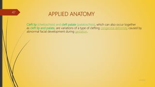 APPLIED ANATOMY
Cleft lip (cheiloschisis) and cleft palate (palatoschisis), which can also occur together
as cleft lip and palate, are variations of a type of clefting congenital deformity caused by
abnormal facial development during gestation.
4/14/2018
47
 
