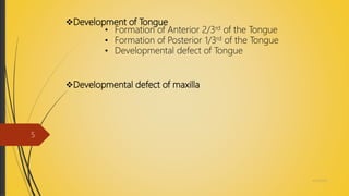 Development of Tongue
• Formation of Anterior 2/3rd of the Tongue
• Formation of Posterior 1/3rd of the Tongue
• Developmental defect of Tongue
Developmental defect of maxilla
4/14/2018
5
 