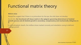 Functional matrix theory
Melvin moss
Researches suggest that if there is no primordium for the eye, the orbit does not develop
Acc to him, the functional soft tissue matrix is the epigenic governing determinant of skeletal
growth process and all skeletal growth is secondary, compensatory and mechanically obligatory to
it.
In achondroplastic dwarfs, the midface shows marked concavity and retardation owing to deficient
cartilage growth
Enlow’s; Essentials of Facial Growth, 4th Edition
4/14/2018
57
 