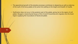 • The appositional growth of the alveolar processes contributes to deepening as well as widening
of the vault of the bony palate at the same time adding to the height and breadth of maxilla
• Ossification does not occur in the posterior part of the palate, giving rise to the region of soft
palate. Myogenic mesenchymal tissues of the I, II and IV branchial arch migrates into this facial
region supplying the musculature of facial and palate.
4/14/2018
66
 