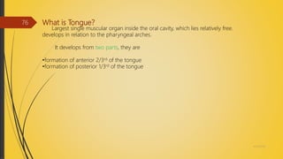 What is Tongue?
Largest single muscular organ inside the oral cavity, which lies relatively free.
develops in relation to the pharyngeal arches.
It develops from two parts, they are
•formation of anterior 2/3rd of the tongue
•formation of posterior 1/3rd of the tongue
4/14/2018
76
 