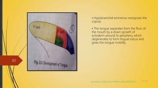 • Hypobranchial eminence overgrows the
copula
• The tongue separates from the floor of
the mouth by a down-growth of
ectoderm around its periphery, which
degenerates to form lingual sulcus and
gives the tongue mobility.
(text book of Maji Jose,1st edition, ORAL BIOLOGY) 4/14/2018
80
 
