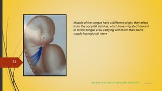 Muscle of the tongue have a different origin, they arises
from the occipital somites, which have migrated forward
in to the tongue area, carrying with them their nerve
supply hypoglossal nerve
(text book of Ten Cate’s,7th edition,ORAL HISTOLOGY) 4/14/2018
81
 