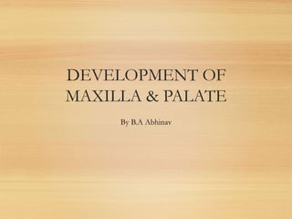 DEVELOPMENT OF
MAXILLA & PALATE
By B.A Abhinav
 