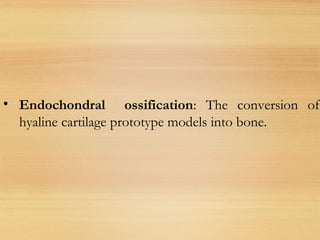 • Endochondral ossification: The conversion of
hyaline cartilage prototype models into bone.
 