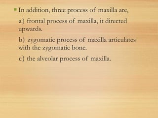  In addition, three process of maxilla are,
a} frontal process of maxilla, it directed
upwards.
b} zygomatic process of maxilla articulates
with the zygomatic bone.
c} the alveolar process of maxilla.
 