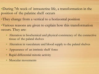 •During 7th week of intrauterine life, a transformation in the
position of the palatine shelf occurs
•They change from a vertical to a horizontal position
•Various reasons are given to explain how this transformation
occurs. They are:
• Alteration in biochemical and physical consistency of the connective
tissue of the palatal shelves
• Alteration in vasculature and blood supply to the palatal shelves
• Appearance of an intrinsic shelf force
• Rapid differential mitotic activity
• Muscular movements
 