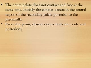 • The entire palate does not contact and fuse at the
same time. Initially the contact occurs in the central
region of the secondary palate posterior to the
premaxilla
• From this point, closure occurs both anteriorly and
posteriorly
 