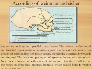 According of weinman and sicher
Sutures are oblique and parallel to each other. This allows the downward
and forward repositioning of maxilla as growth occurs at these sutures. As
growth of surrounding soft tissue occurs, the maxilla is carried downwards
and forward. This leads to opening up of space at the sutural attachments.
New bone is formed on either side of the suture. Thus the overall size of
the bones on either side increases. Hence a tension related bone formation
 