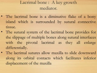 Lacrimal bone : A key growth
mediator.
• The lacrimal bone is a diminutive flake of a bony
island which is surrounded by sutural connective
tissue.
• The sutural system of the lacrimal bone provides for
the slippage of multiple bones along sutural interfaces
with the pivotal lacrimal as they all enlarge
differentially.
• The lacrimal sutures allow maxilla to slide downward
along its orbital contacts which facilitates inferior
displacement of the maxilla
 
