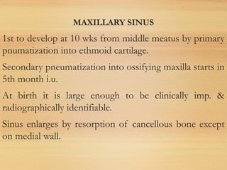 MAXILLARY SINUS
1st to develop at 10 wks from middle meatus by primary
pnumatization into ethmoid cartilage.
Secondary pneumatization into ossifying maxilla starts in
5th month i.u.
At birth it is large enough to be clinically imp. &
radiographically identifiable.
Sinus enlarges by resorption of cancellous bone except
on medial wall.
 