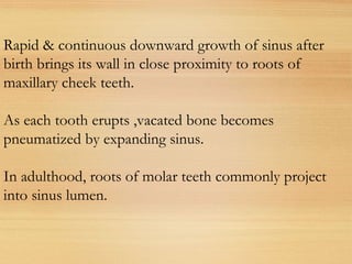 Rapid & continuous downward growth of sinus after
birth brings its wall in close proximity to roots of
maxillary cheek teeth.
As each tooth erupts ,vacated bone becomes
pneumatized by expanding sinus.
In adulthood, roots of molar teeth commonly project
into sinus lumen.
 