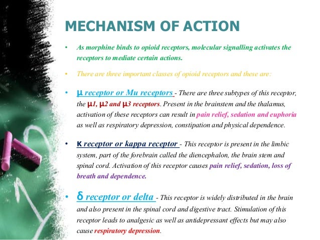 morphine mechanism of action