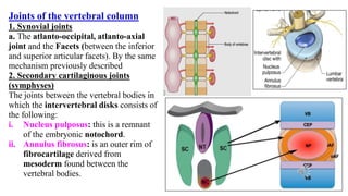 Joints of the vertebral column
1. Synovial joints
a. The atlanto-occipital, atlanto-axial
joint and the Facets (between the inferior
and superior articular facets). By the same
mechanism previously described
2. Secondary cartilaginous joints
(symphyses)
The joints between the vertebral bodies in
which the intervertebral disks consists of
the following:
i. Nucleus pulposus: this is a remnant
of the embryonic notochord.
ii. Annulus fibrosus: is an outer rim of
fibrocartilage derived from
mesoderm found between the
vertebral bodies.
 