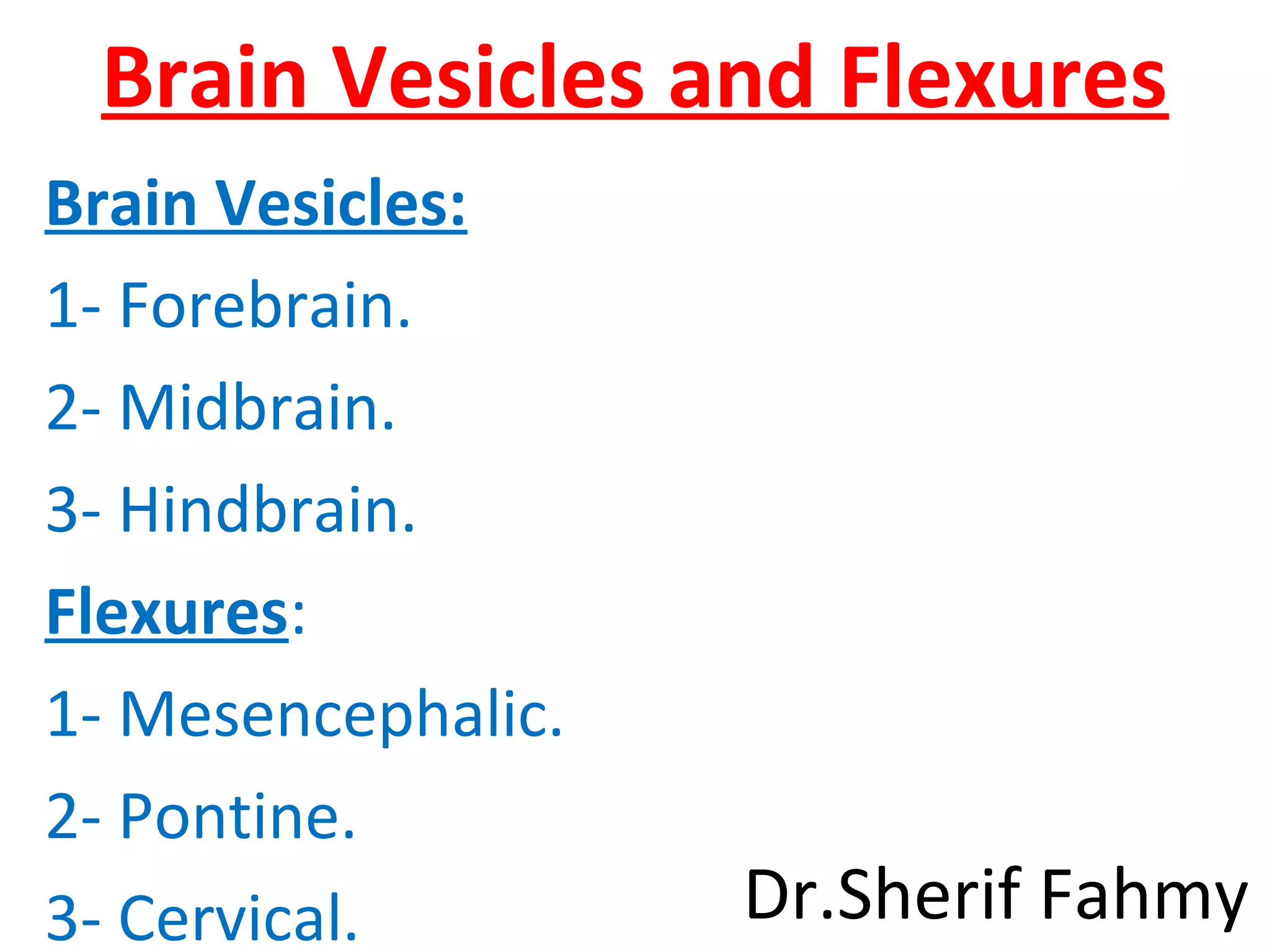 Brain Vesicles and Flexures
Brain Vesicles:
1- Forebrain.
2- Midbrain.
3- Hindbrain.
Flexures:
1- Mesencephalic.
2- Pontine.
3- Cervical. Dr.Sherif Fahmy
 