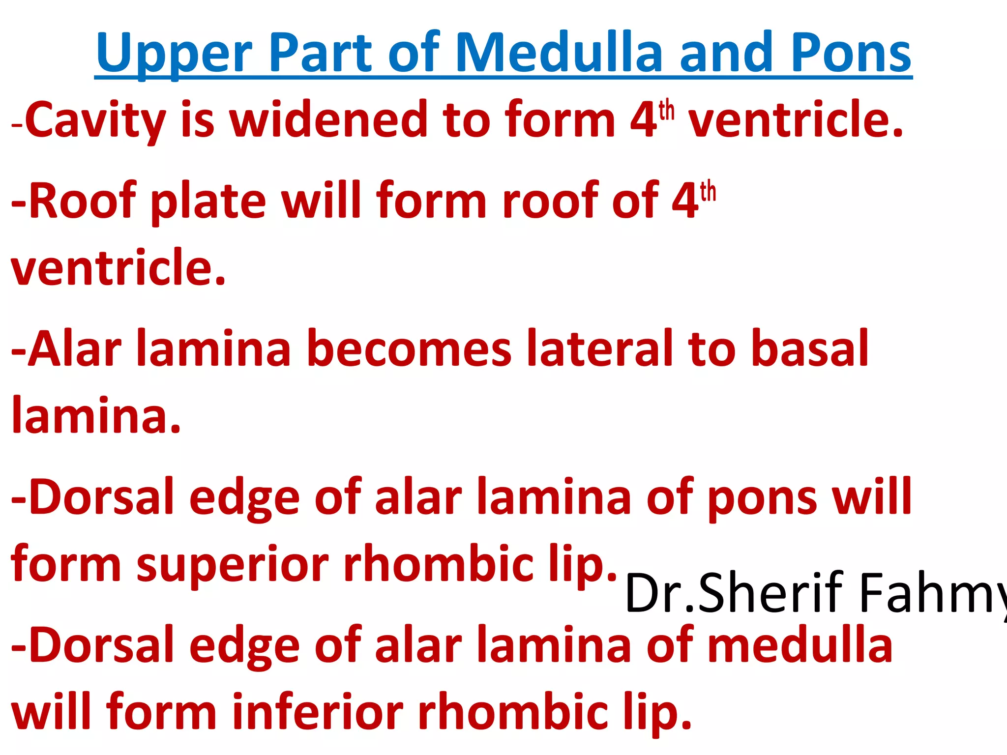 Upper Part of Medulla and Pons
-Cavity is widened to form 4th
ventricle.
-Roof plate will form roof of 4th
ventricle.
-Alar lamina becomes lateral to basal
lamina.
-Dorsal edge of alar lamina of pons will
form superior rhombic lip.
-Dorsal edge of alar lamina of medulla
will form inferior rhombic lip.
Dr.Sherif Fahmy
 