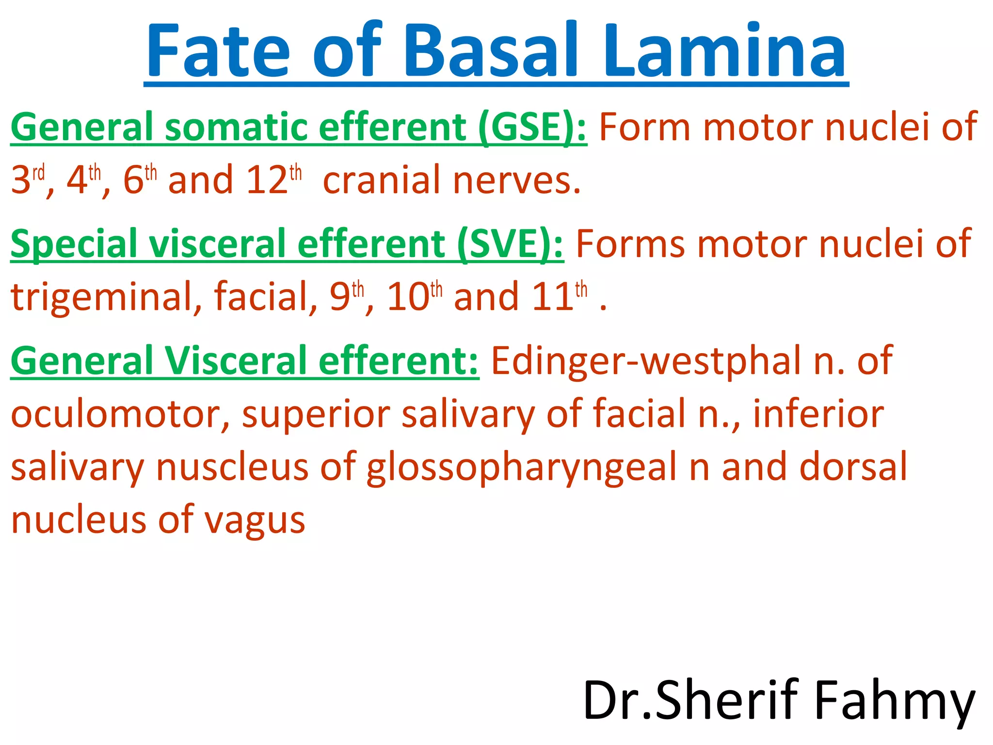 Fate of Basal Lamina
General somatic efferent (GSE): Form motor nuclei of
3rd
, 4th
, 6th
and 12th
cranial nerves.
Special visceral efferent (SVE): Forms motor nuclei of
trigeminal, facial, 9th
, 10th
and 11th
.
General Visceral efferent: Edinger-westphal n. of
oculomotor, superior salivary of facial n., inferior
salivary nuscleus of glossopharyngeal n and dorsal
nucleus of vagus
Dr.Sherif Fahmy
 
