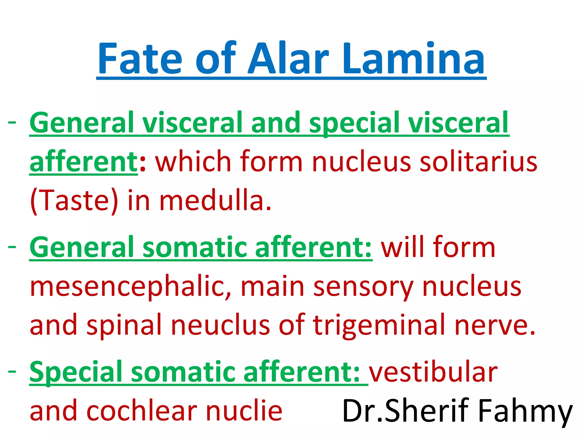 Fate of Alar Lamina
- General visceral and special visceral
afferent: which form nucleus solitarius
(Taste) in medulla.
- General somatic afferent: will form
mesencephalic, main sensory nucleus
and spinal neuclus of trigeminal nerve.
- Special somatic afferent: vestibular
and cochlear nuclie Dr.Sherif Fahmy
 