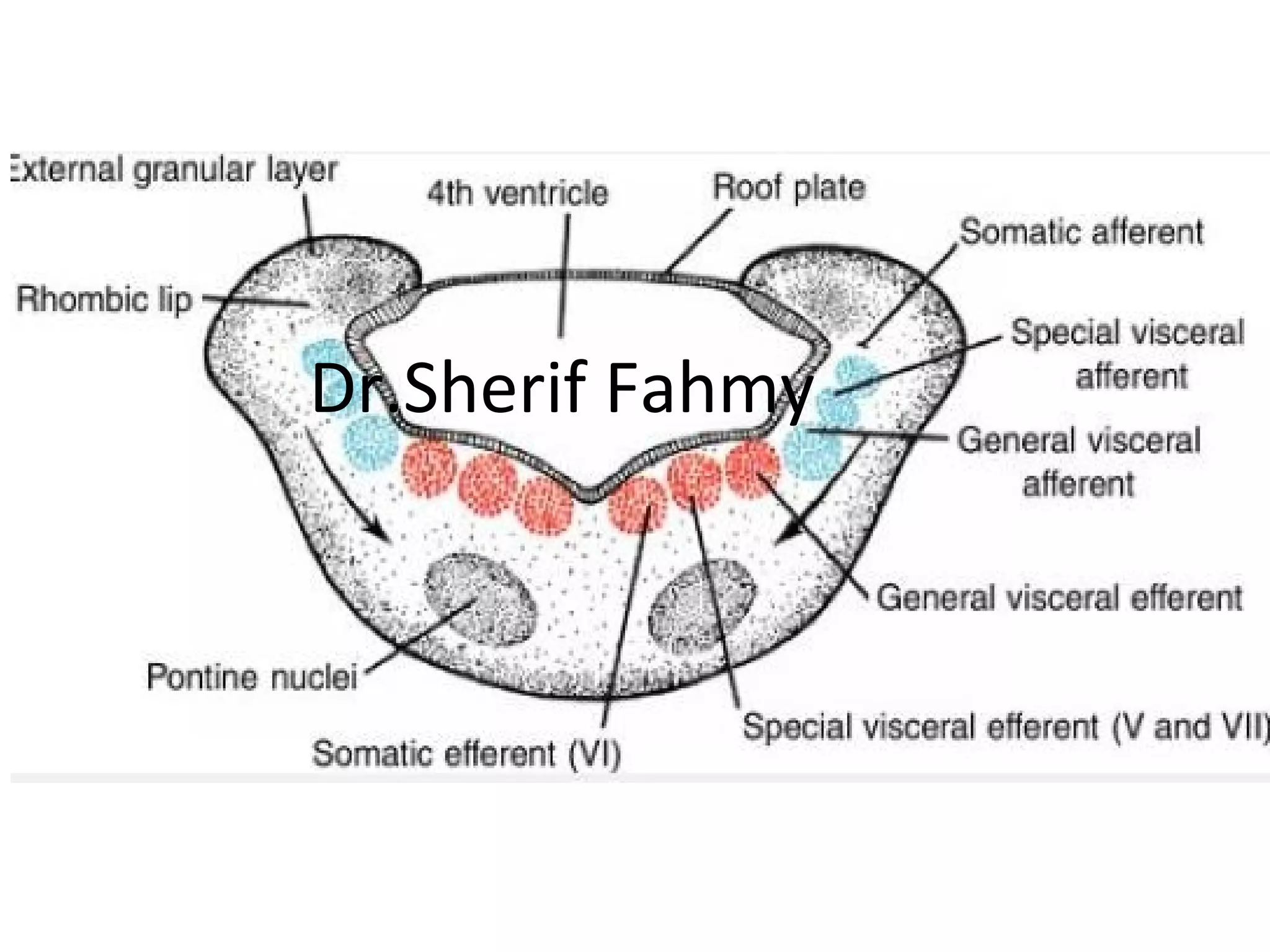 Dr.Sherif Fahmy
 