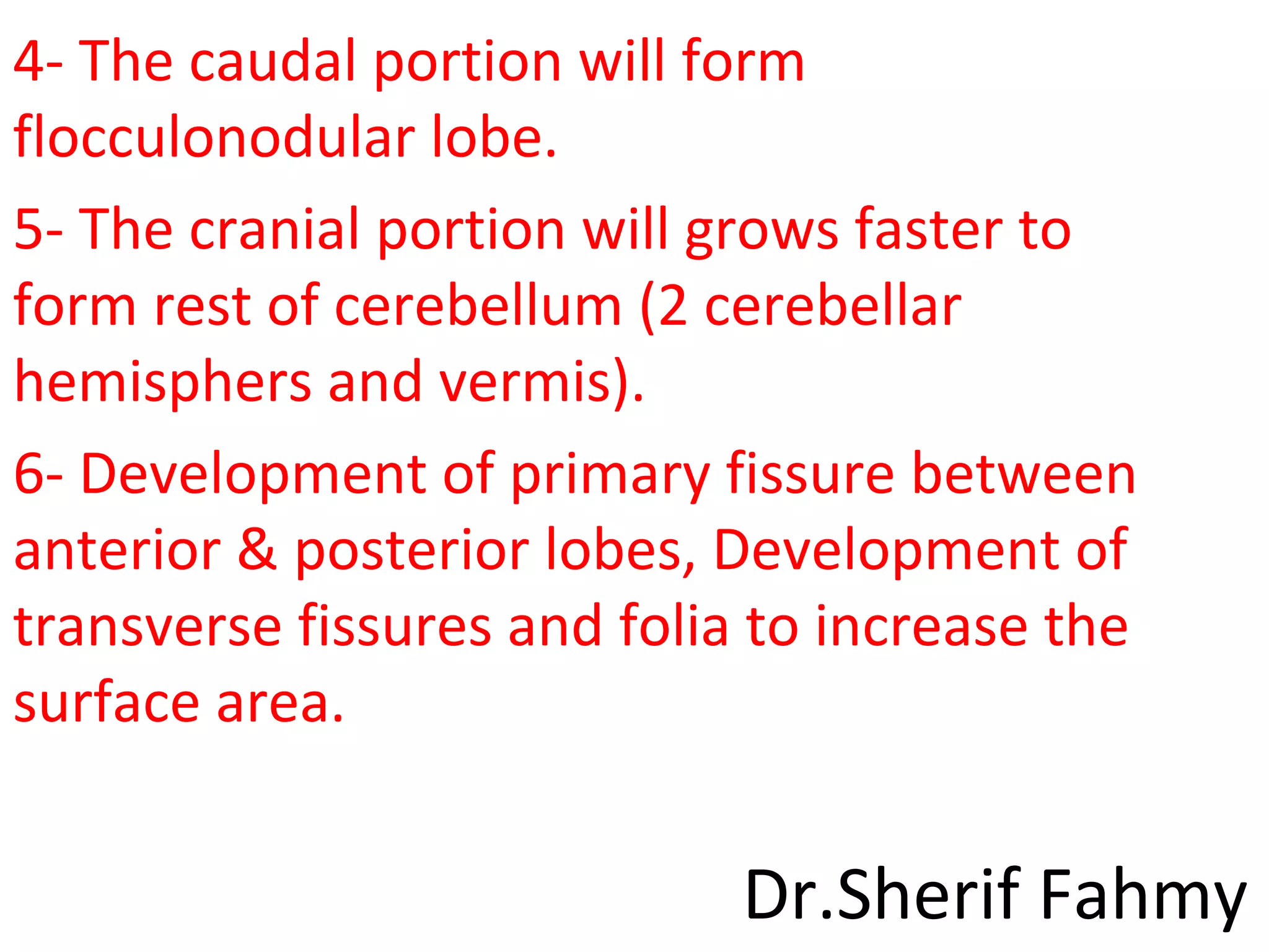 4- The caudal portion will form
flocculonodular lobe.
5- The cranial portion will grows faster to
form rest of cerebellum (2 cerebellar
hemisphers and vermis).
6- Development of primary fissure between
anterior & posterior lobes, Development of
transverse fissures and folia to increase the
surface area.
Dr.Sherif Fahmy
 