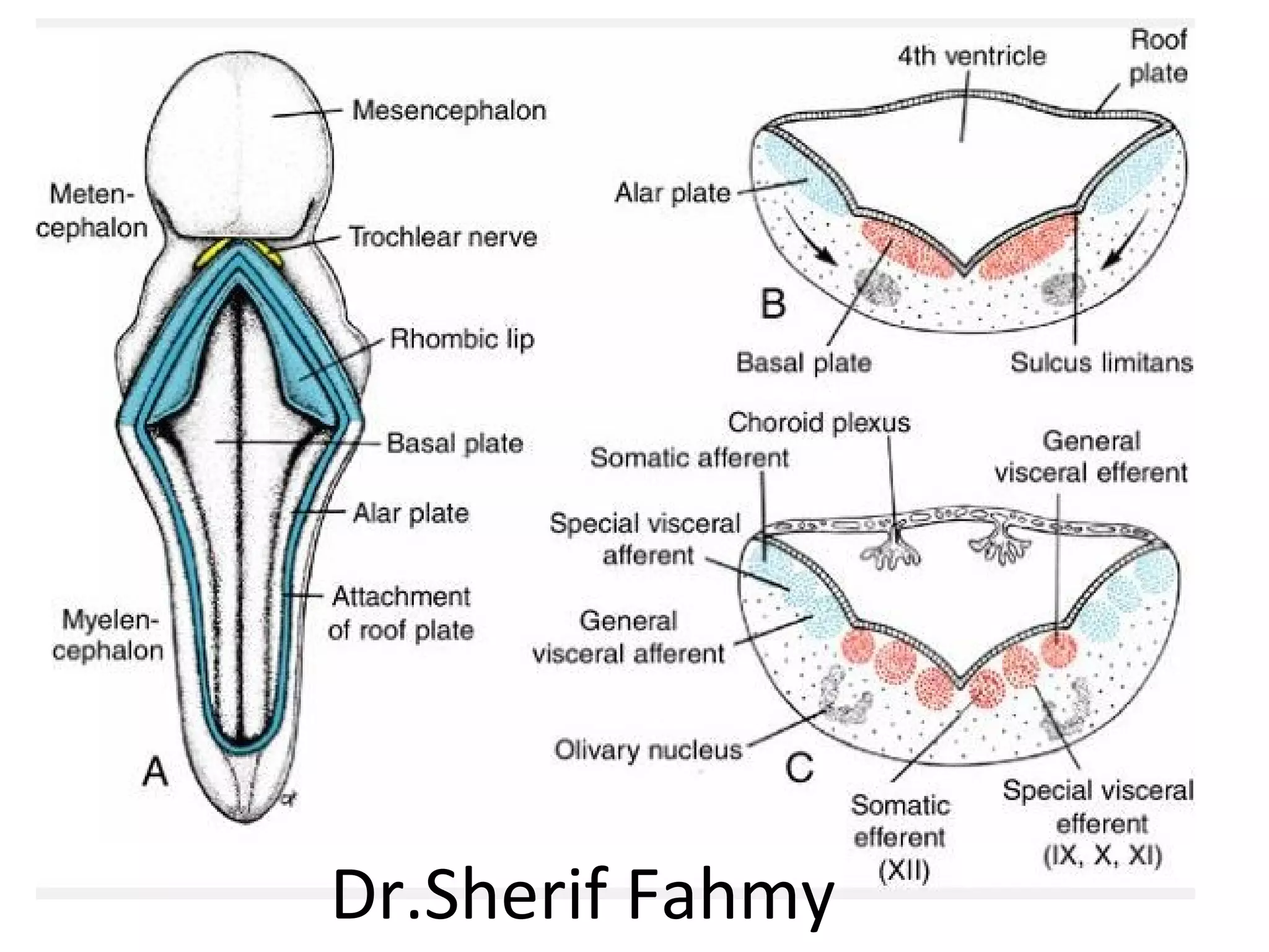 Dr.Sherif Fahmy
 