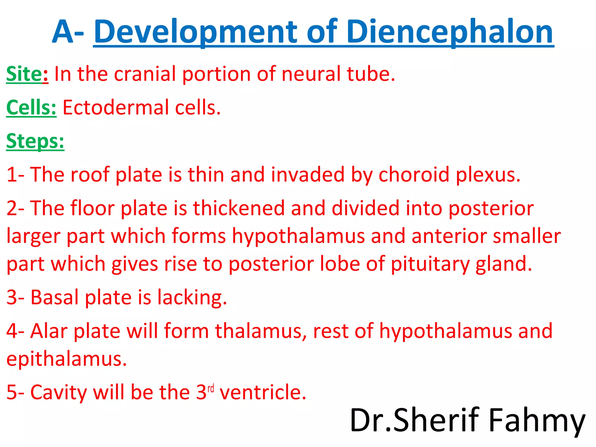 A- Development of Diencephalon
Site: In the cranial portion of neural tube.
Cells: Ectodermal cells.
Steps:
1- The roof plate is thin and invaded by choroid plexus.
2- The floor plate is thickened and divided into posterior
larger part which forms hypothalamus and anterior smaller
part which gives rise to posterior lobe of pituitary gland.
3- Basal plate is lacking.
4- Alar plate will form thalamus, rest of hypothalamus and
epithalamus.
5- Cavity will be the 3rd
ventricle.
Dr.Sherif Fahmy
 