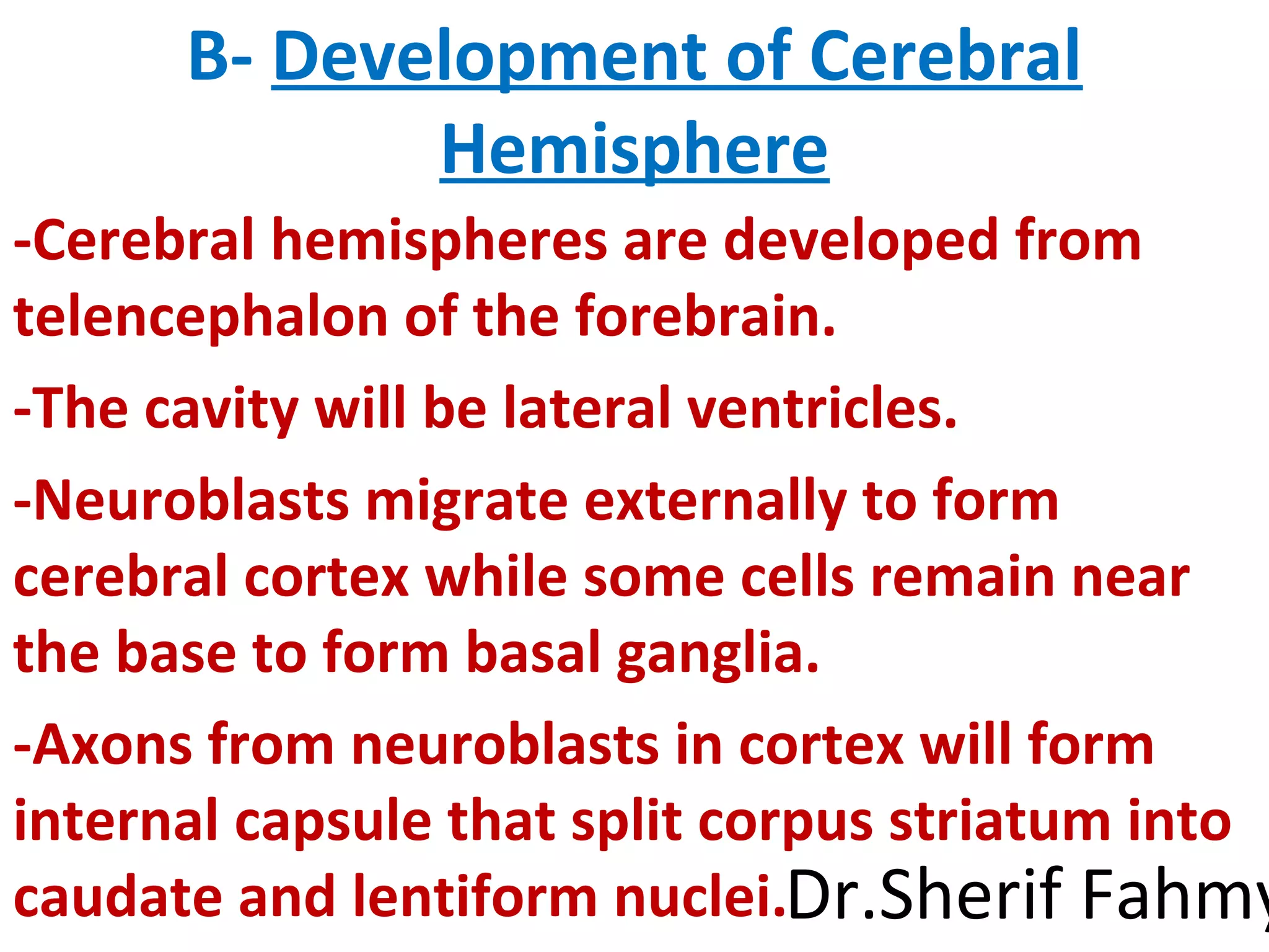 B- Development of Cerebral
Hemisphere
-Cerebral hemispheres are developed from
telencephalon of the forebrain.
-The cavity will be lateral ventricles.
-Neuroblasts migrate externally to form
cerebral cortex while some cells remain near
the base to form basal ganglia.
-Axons from neuroblasts in cortex will form
internal capsule that split corpus striatum into
caudate and lentiform nuclei.Dr.Sherif Fahmy
 