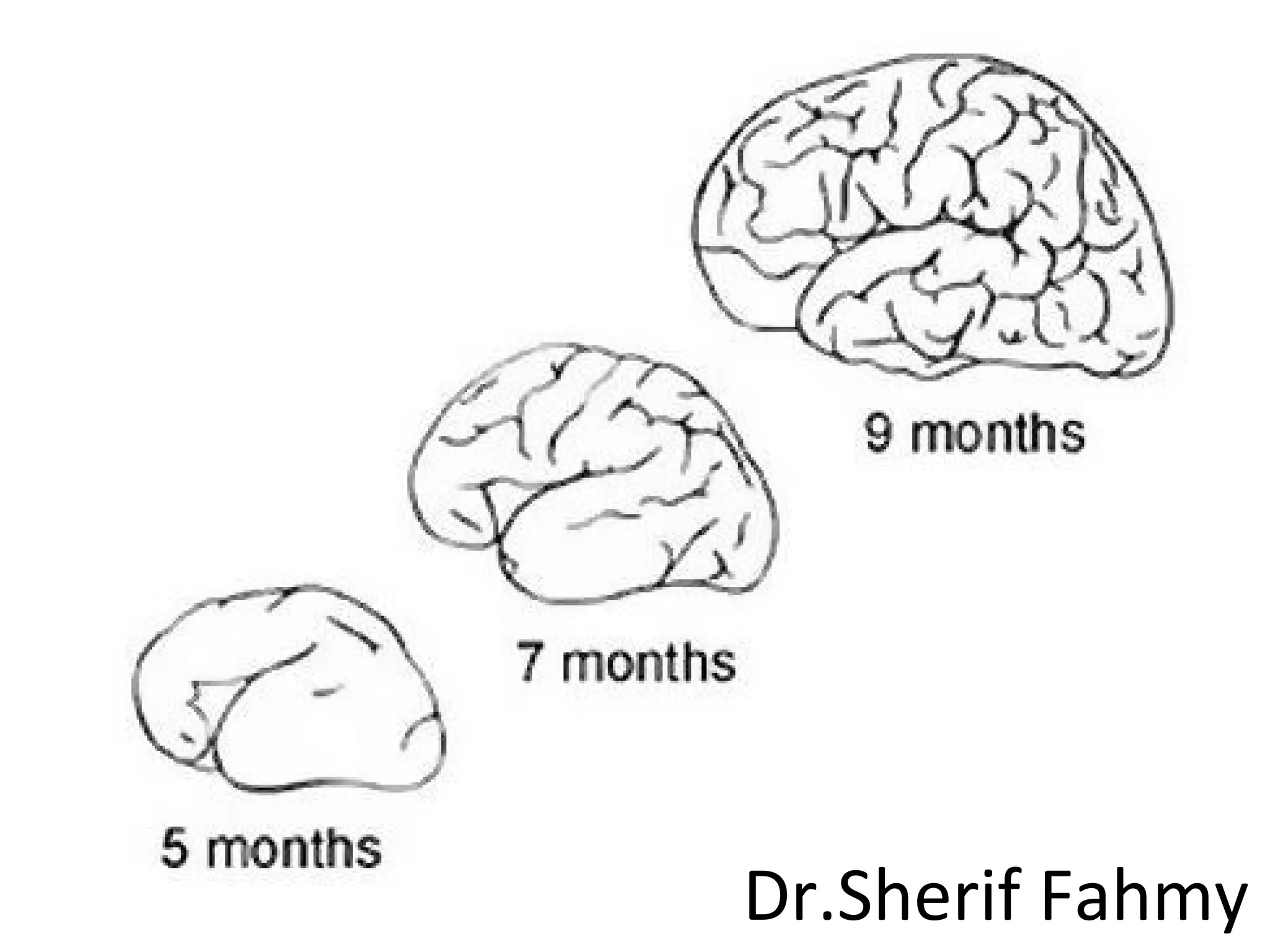 Dr.Sherif Fahmy
 
