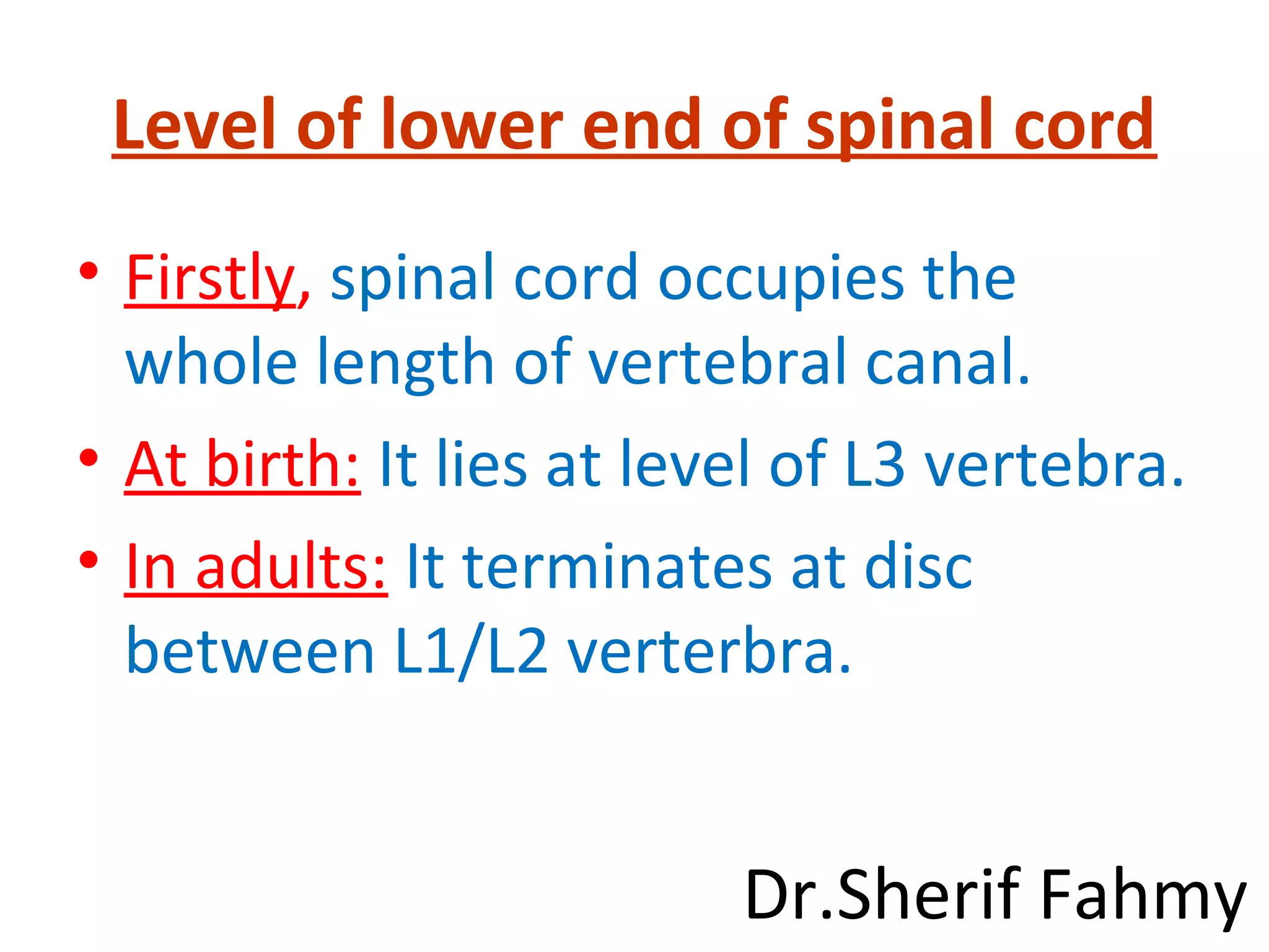 Level of lower end of spinal cord
• Firstly, spinal cord occupies the
whole length of vertebral canal.
• At birth: It lies at level of L3 vertebra.
• In adults: It terminates at disc
between L1/L2 verterbra.
Dr.Sherif Fahmy
 
