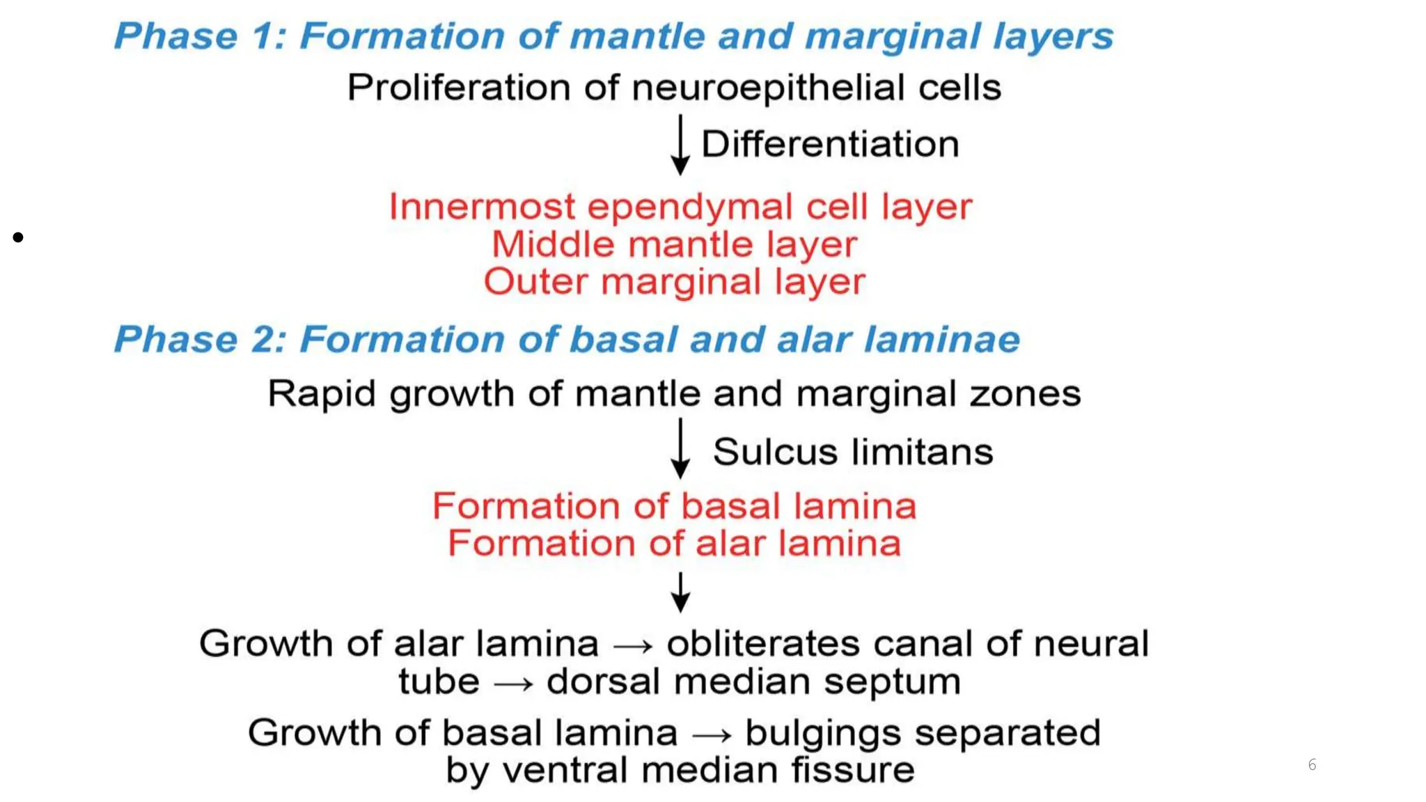 DEVELOPMENT OF NEURAL TUBE & SPINAL CORD.pptx