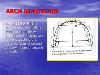 Development of normal dentition and occlusion | PPT