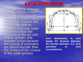 Development of normal dentition and occlusion | PPT