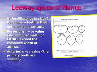 Value Teeth Development of normal dentition and occlusion | PPT
