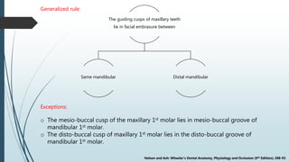 Development of normal occlusion | PPTX