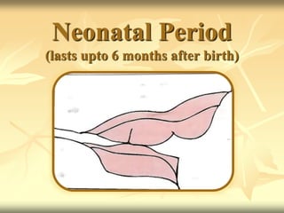 Neonatal Period
(lasts upto 6 months after birth)
 