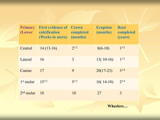 Primary
(Lower
First evidence of
calcification
(Weeks in utero)
Crown
completed
(months)
Eruption
(months)
Root
completed
(years)
Central 14 (13-16) 21/2 8(6-10) 11/2
Lateral 16 3 13( 10-16) 11/2
Canine 17 9 20(17-23) 31/4
1st molar 151/2 51/2 16( 14-18) 21/4
2nd molar 18 10 27 3
Wheelers…
 