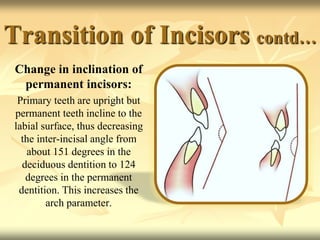 Transition of Incisors contd…
Change in inclination of
permanent incisors:
Primary teeth are upright but
permanent teeth incline to the
labial surface, thus decreasing
the inter-incisal angle from
about 151 degrees in the
deciduous dentition to 124
degrees in the permanent
dentition. This increases the
arch parameter.
 